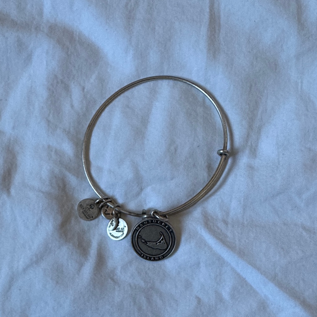 Alex And Ani Silver Nantucket Charm Bangle 15$